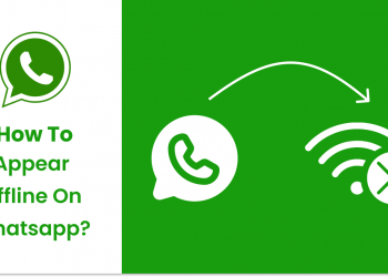 WhatsApp'ta Çevrimdışı Nasıl Görünür?- 3 Kolay Yol