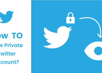 Özel Twitter Hesabı Nasıl Görüntülenir?